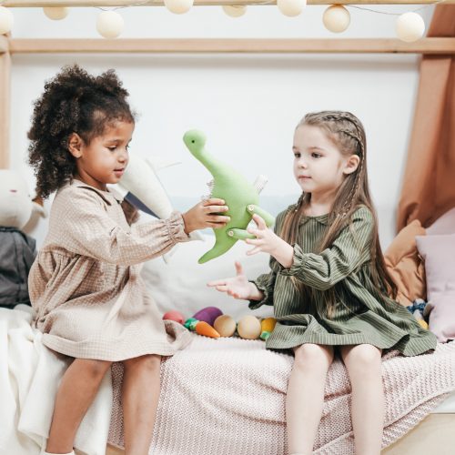Encouraging Children To Learn The Value Of Sharing